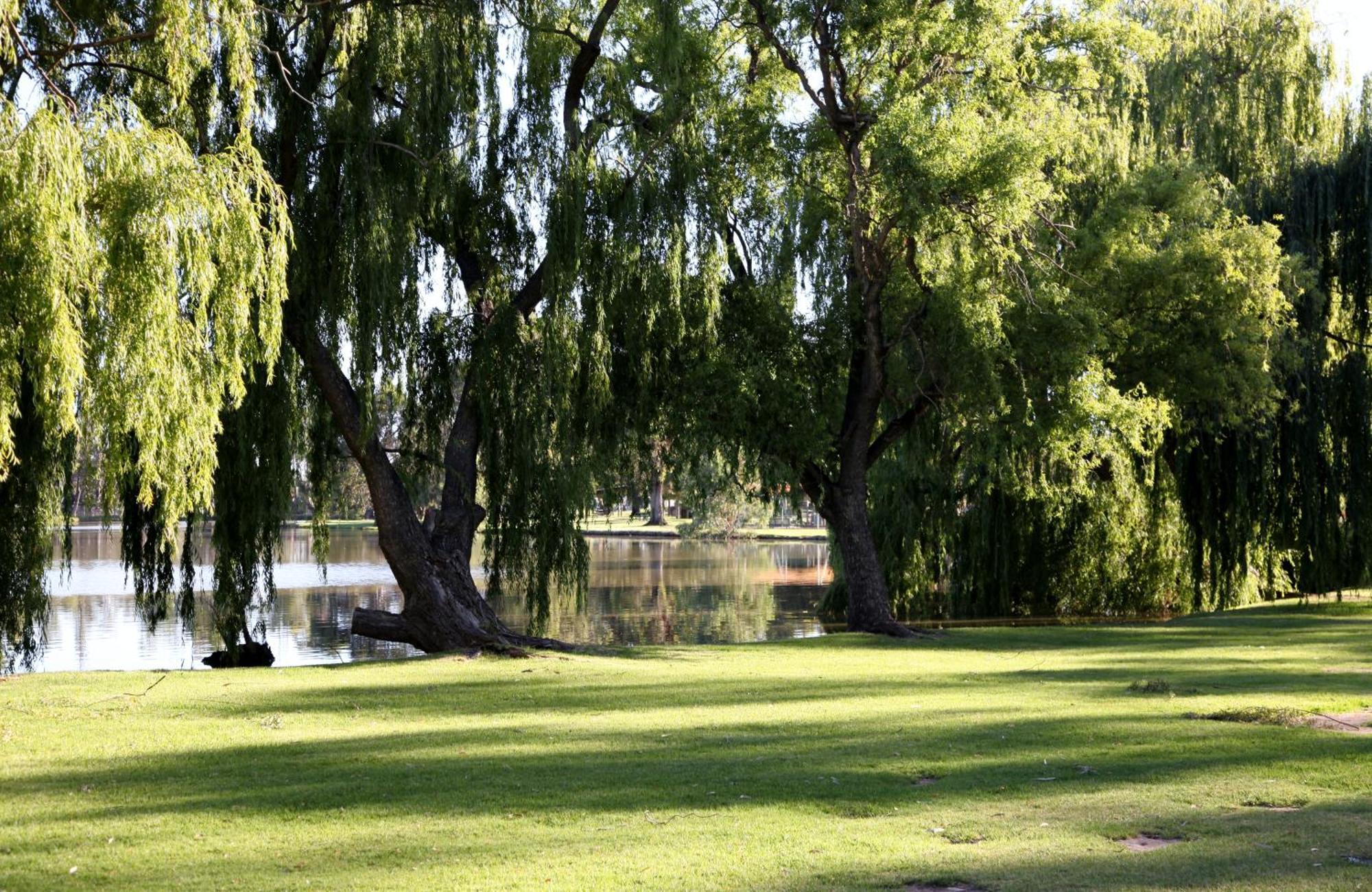 Cohuna Waterfront Holiday Park Buitenkant foto